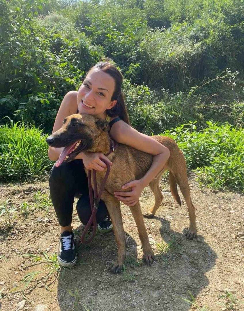 Vuoi adottare un cane a Firenze?