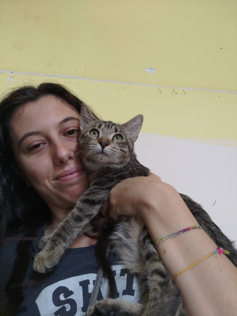 Foto dell'animale