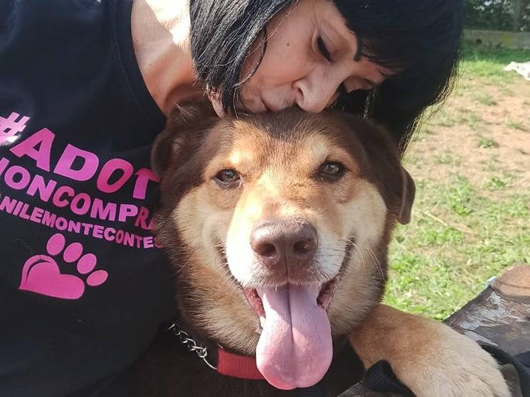 Adotta il cane Puki a Genova