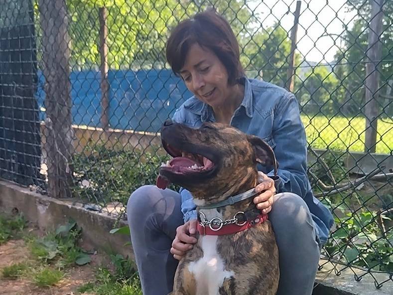 Vuoi adottare un cane a Genova?