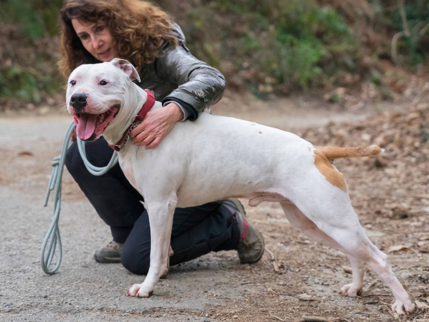 Foto dell'animale