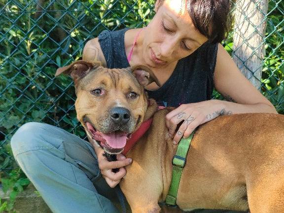 Adotta il cane Thor a Genova