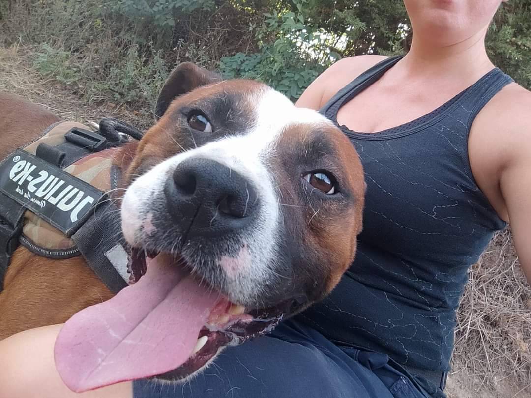 Adozione cane, maschio, meticcio, 4 anni e 9 mesi, taglia media, Napoli