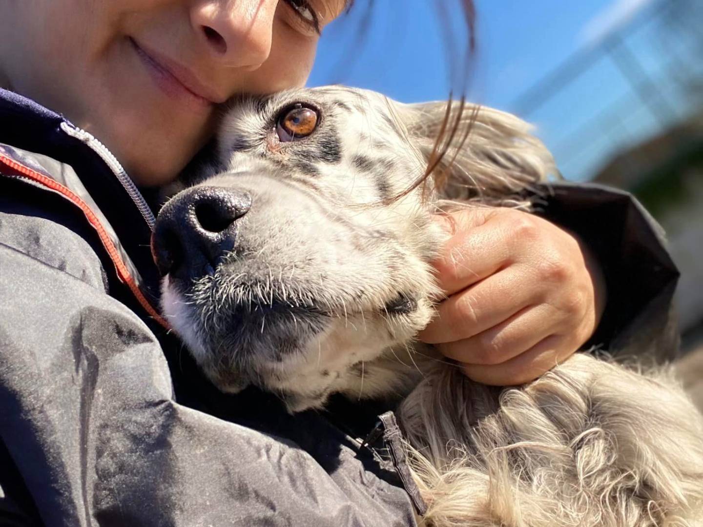 Adotta il cane CRIS a Firenze