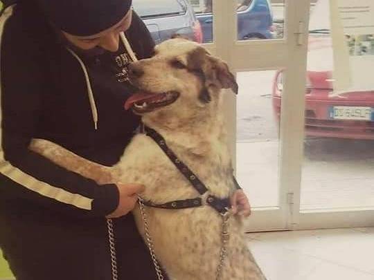 Foto dell'animale