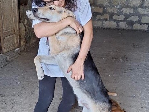 Adotta il cane Sam a Siracusa
