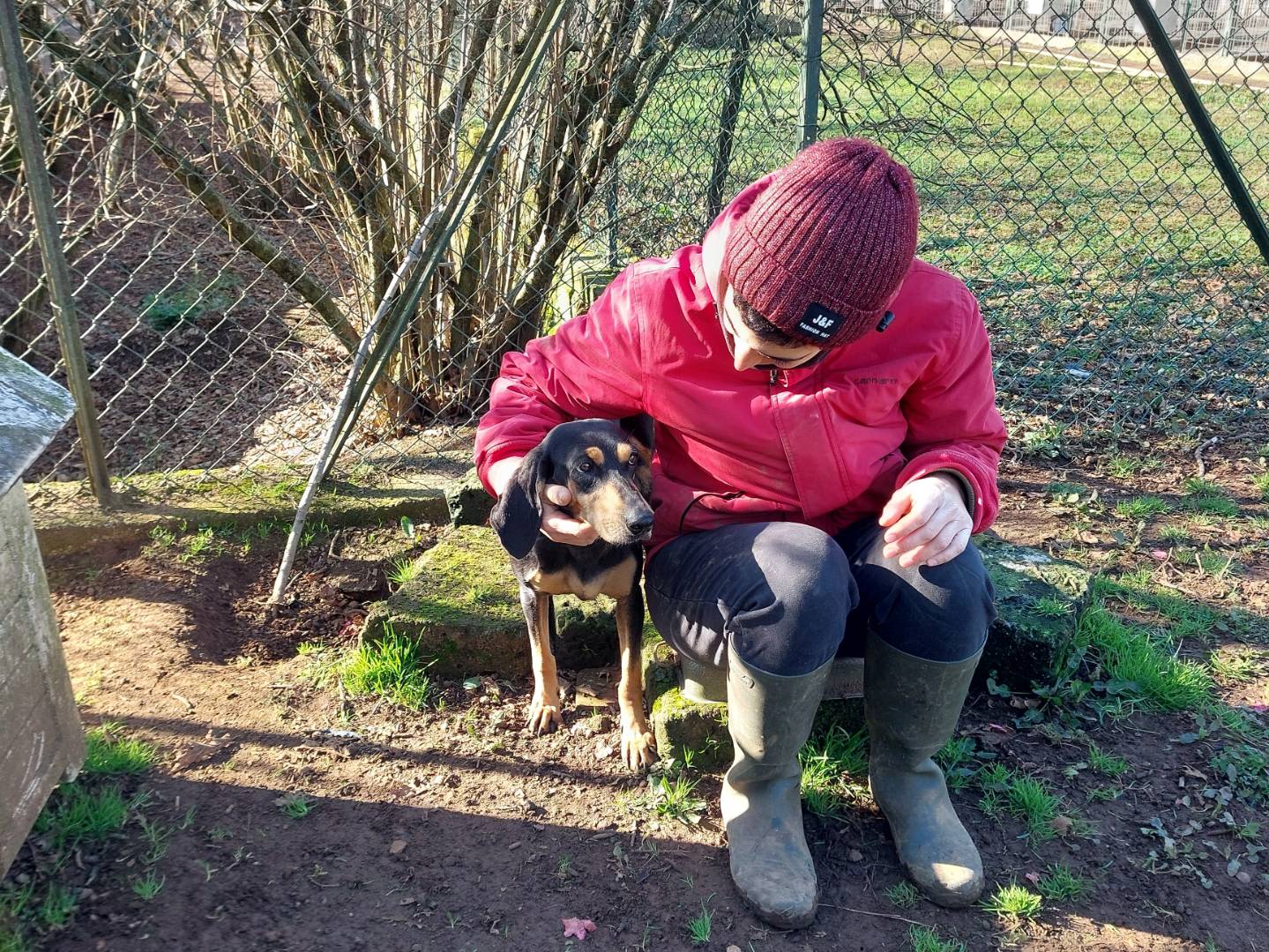 Vuoi adottare un cane a Viterbo?