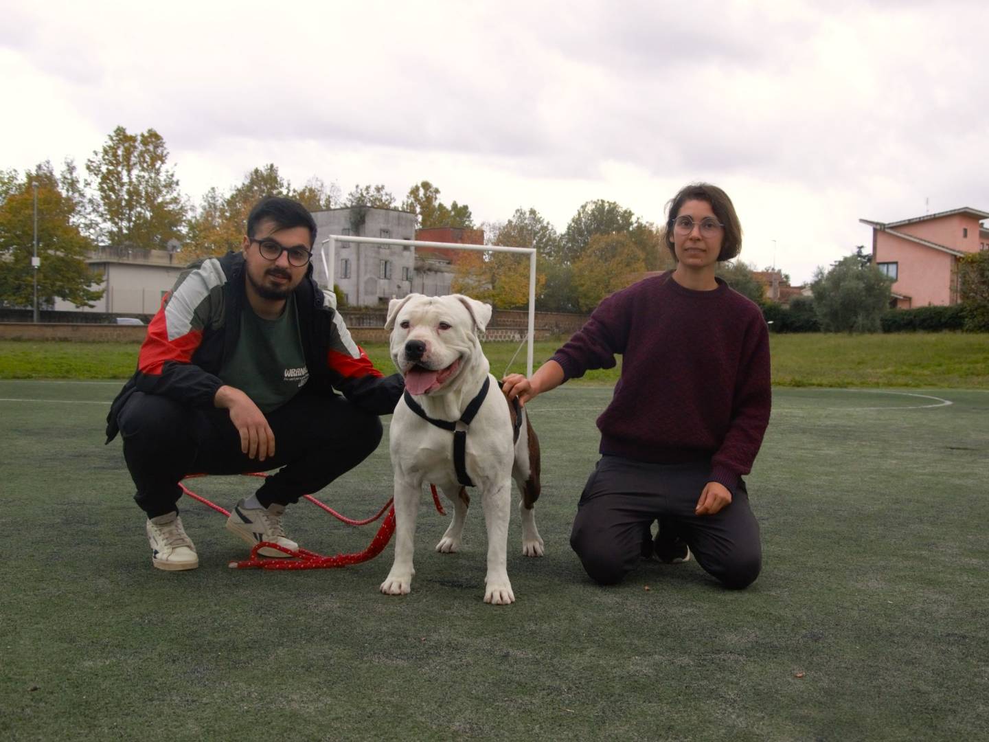Adotta un cane, taglia grande, maschio, Viterbo