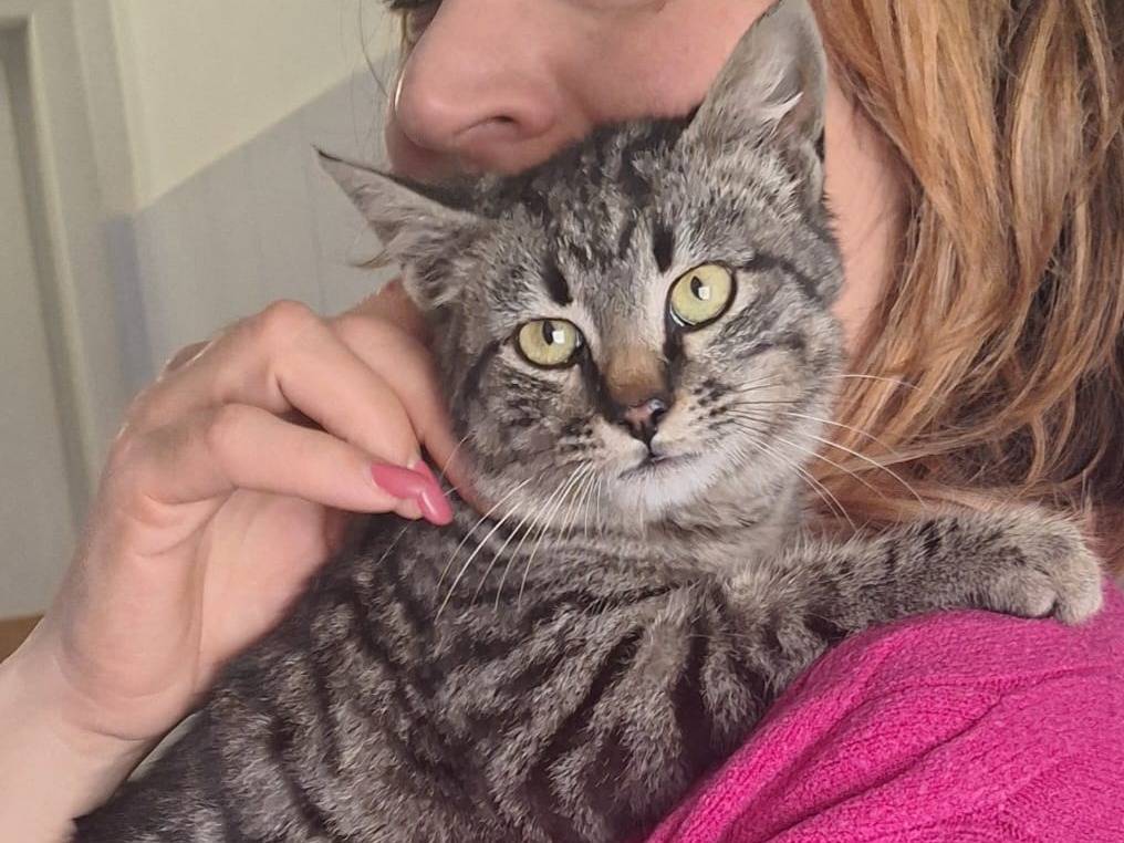 Foto dell'animale