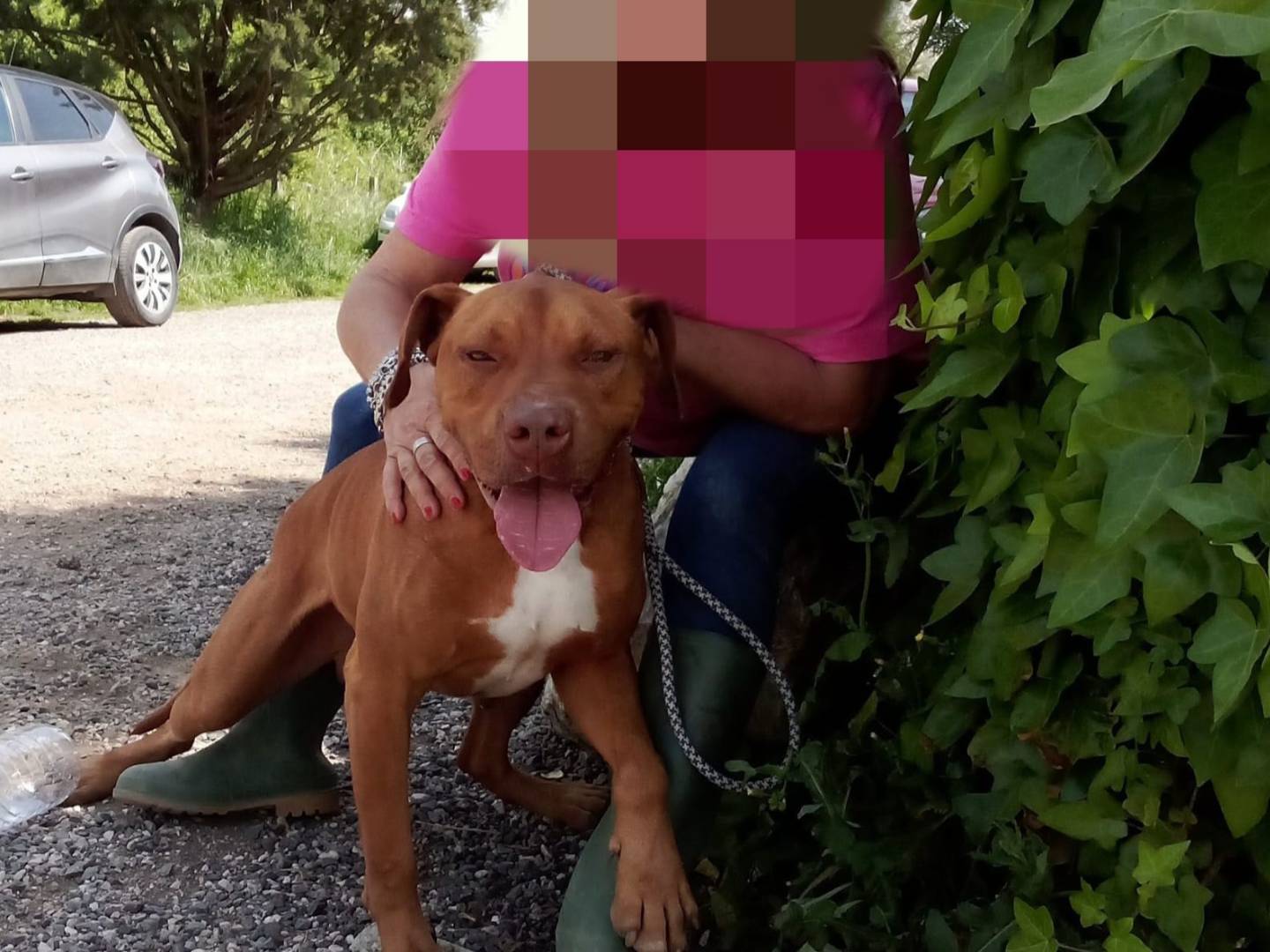 Foto dell'animale