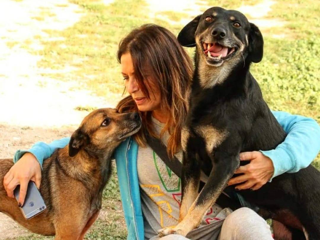 Foto dell'animale
