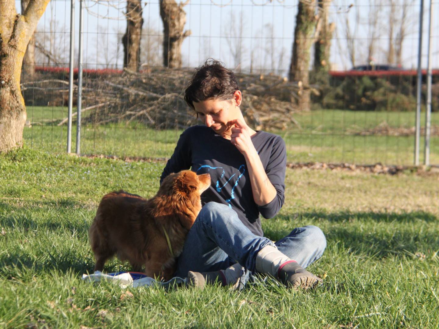 Adotta un cane, taglia piccola, maschio, Milano