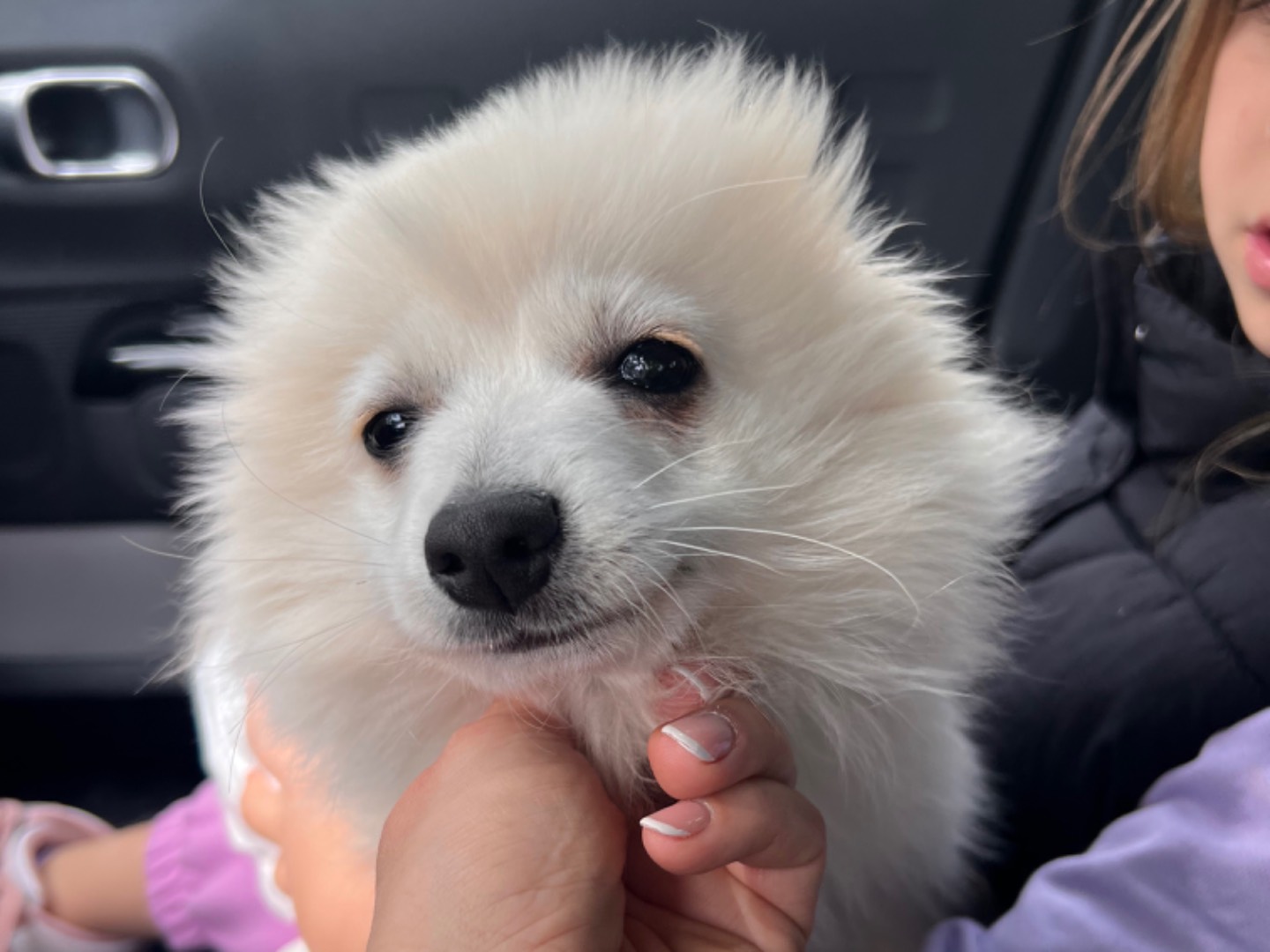 Vuoi adottare un cane a Bari?