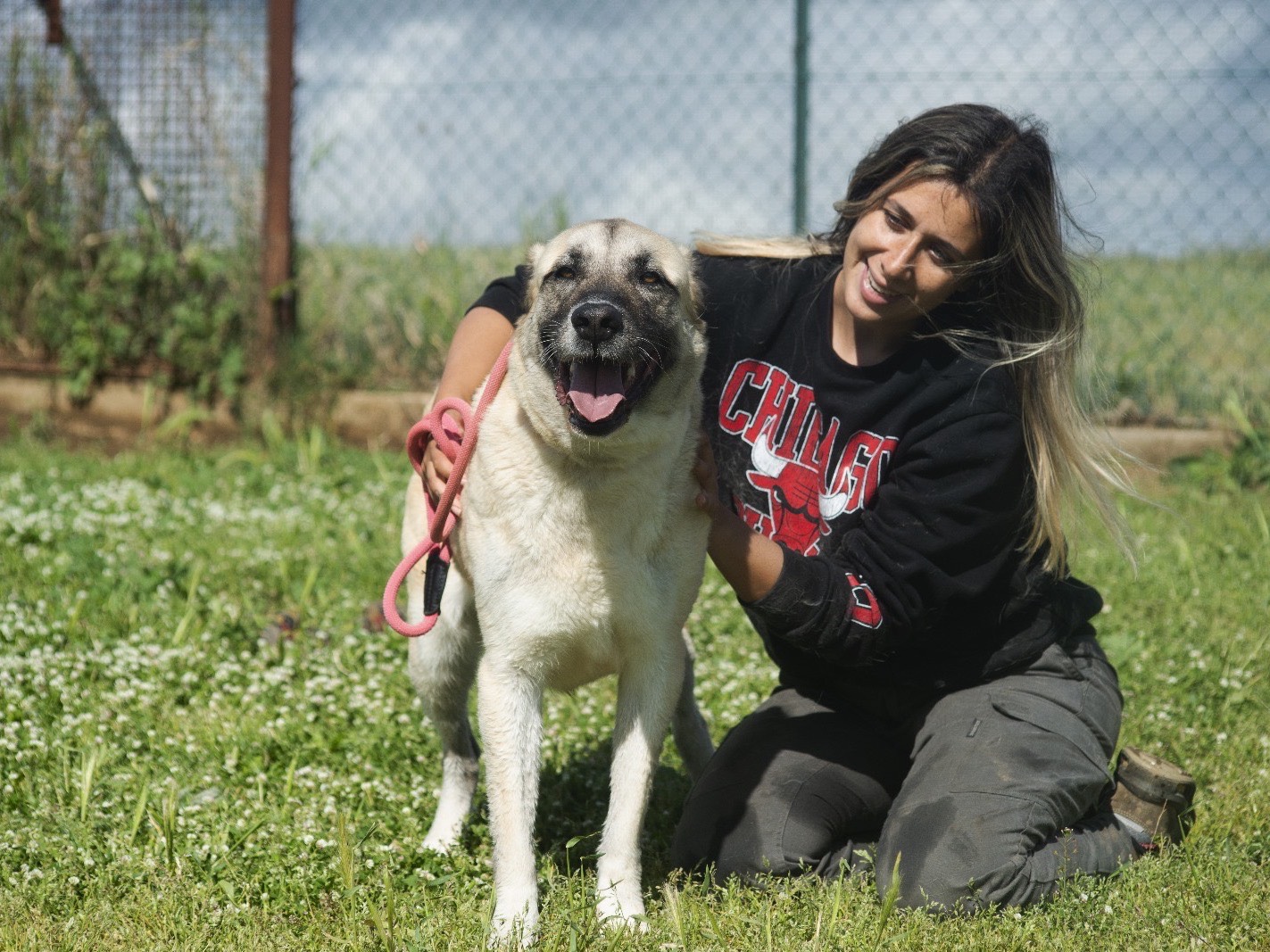 Foto dell'animale