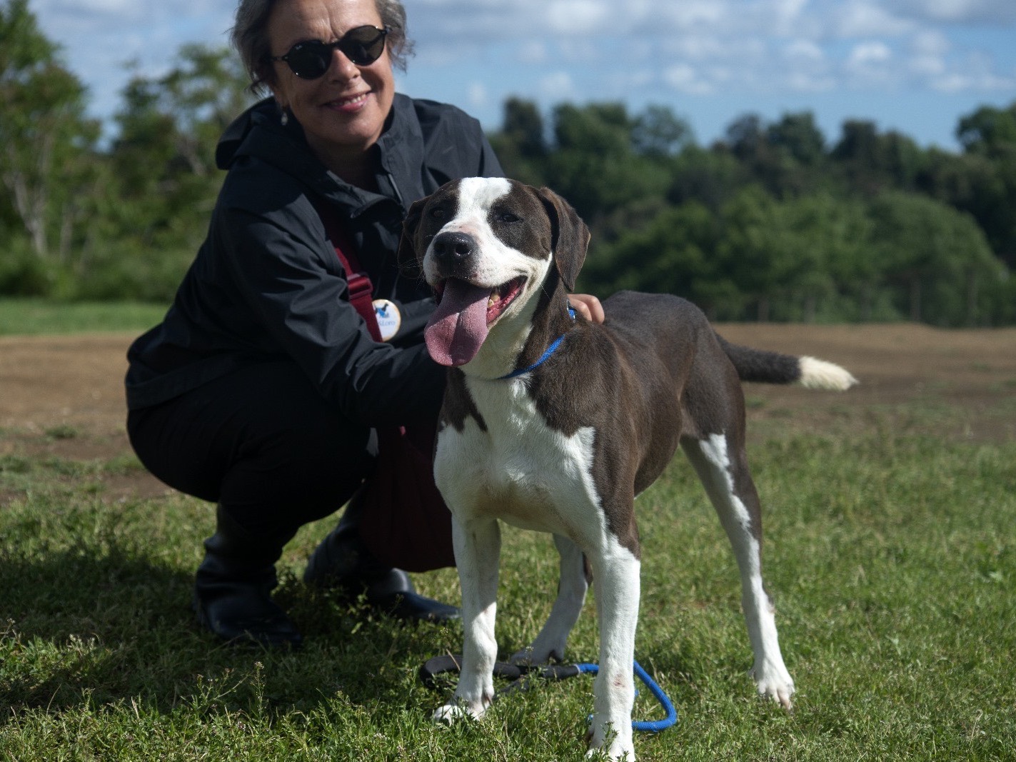 Adotta un cane, maschio, 5 anni  e 2 mesi , Roma