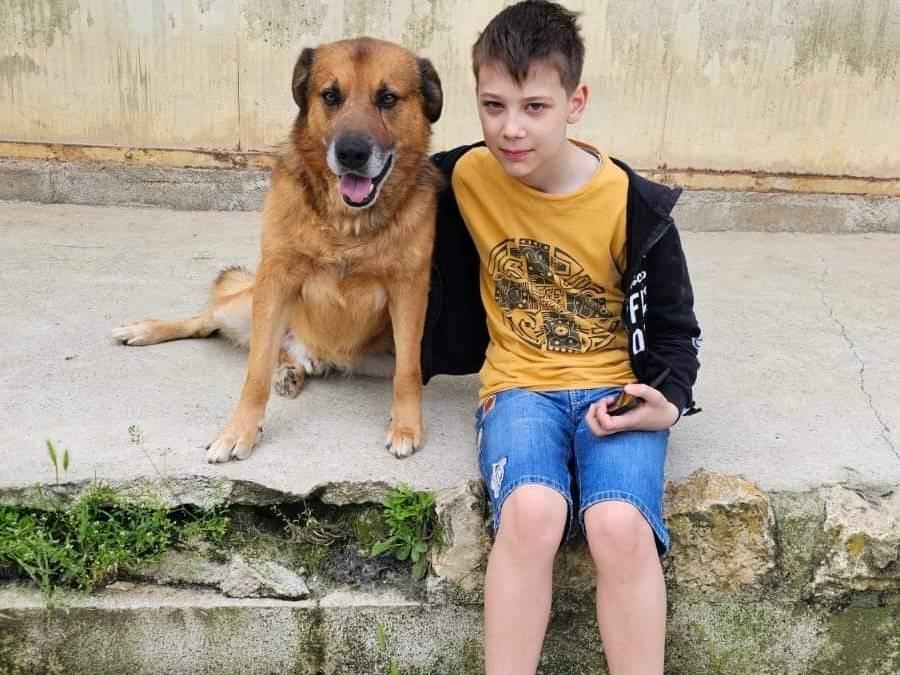 Foto dell'animale
