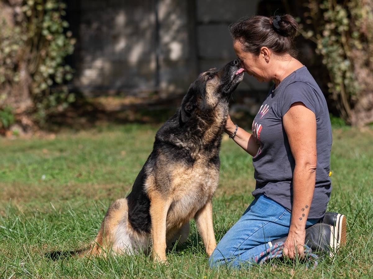 Vuoi adottare un cane a Milano?
