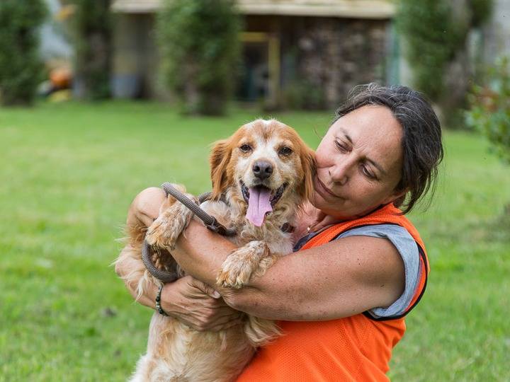 Adotta il cane Kery a Milano