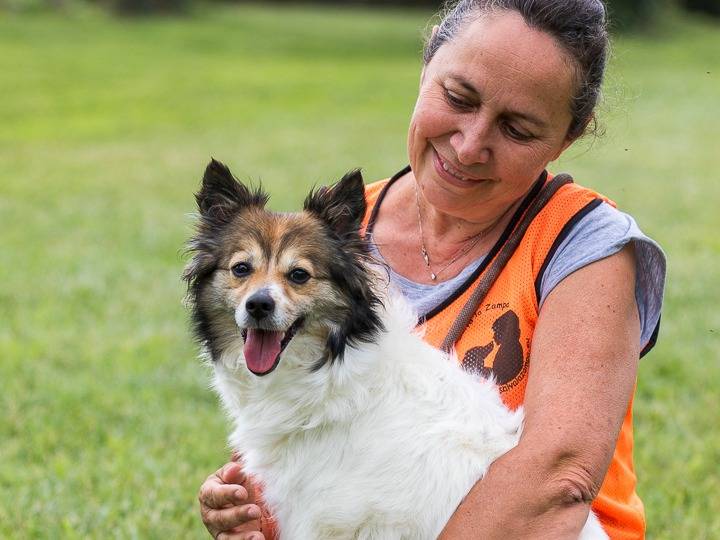Adotta un cane, taglia piccola, femmina, Milano