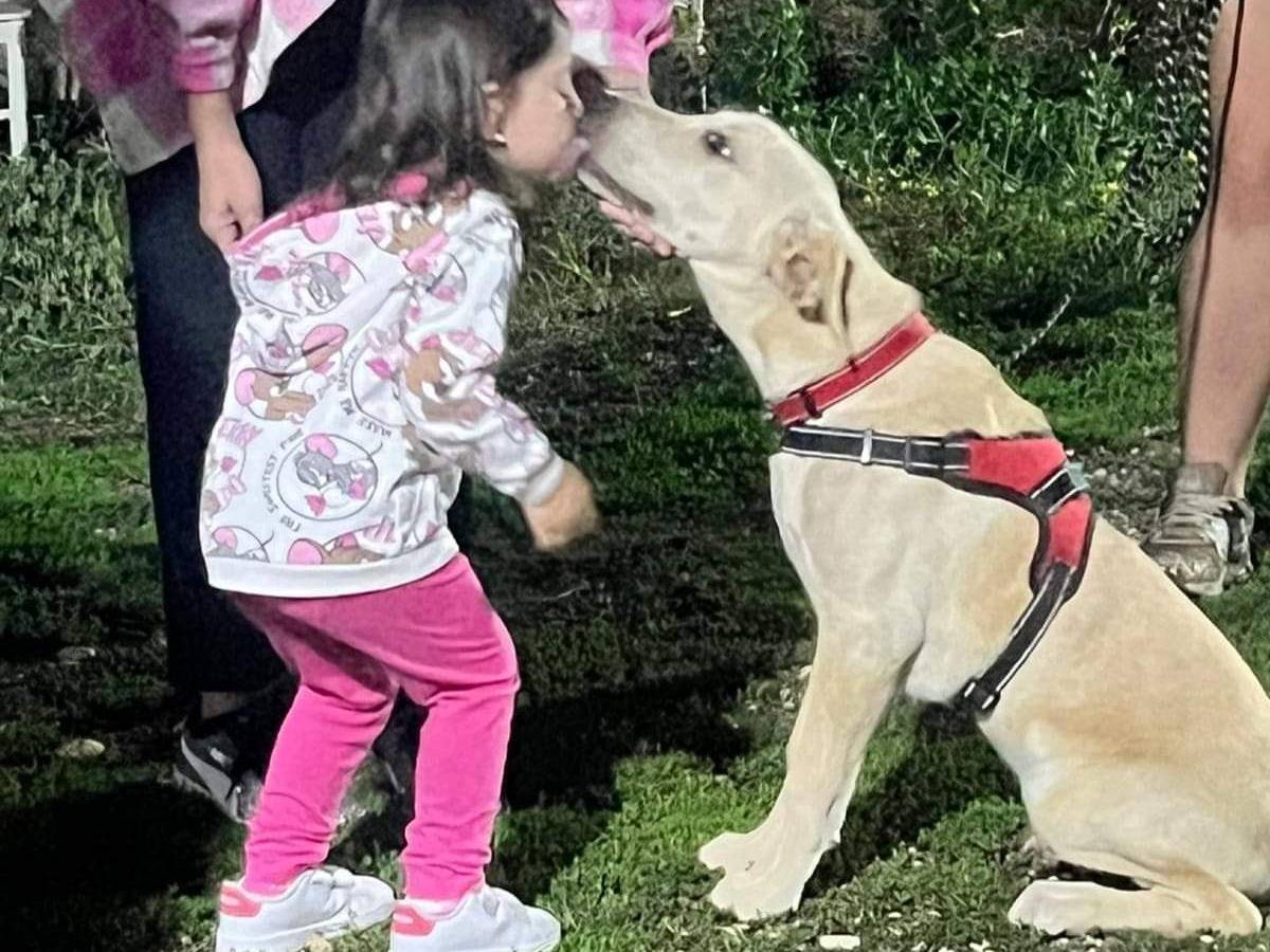 Foto dell'animale