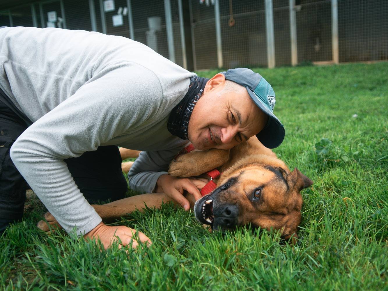 Vuoi adottare un cane a Bologna?