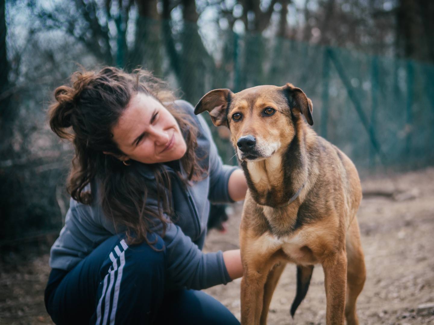 Adotta un cane, taglia media, femmina, Bologna