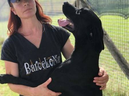 Adotta un cane, taglia grande, maschio, Latina