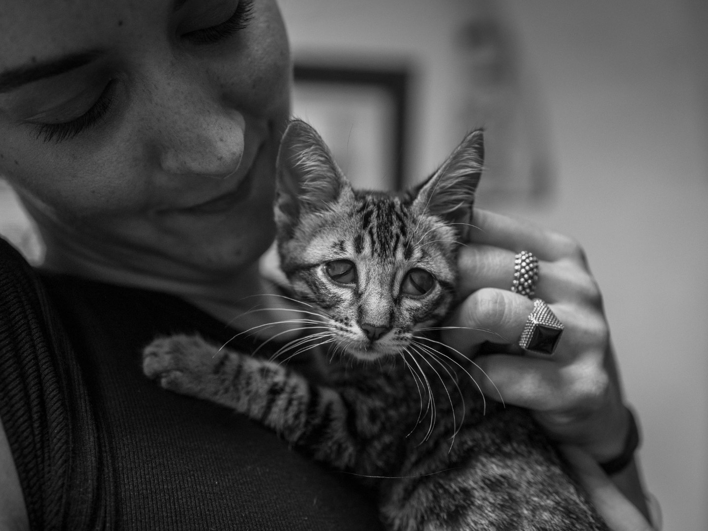 Foto dell'animale