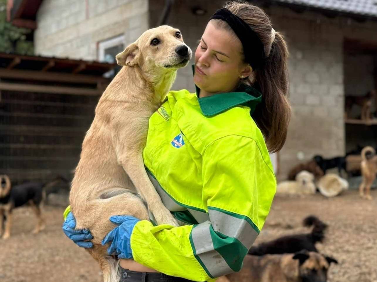 Vuoi adottare un cane a Firenze?
