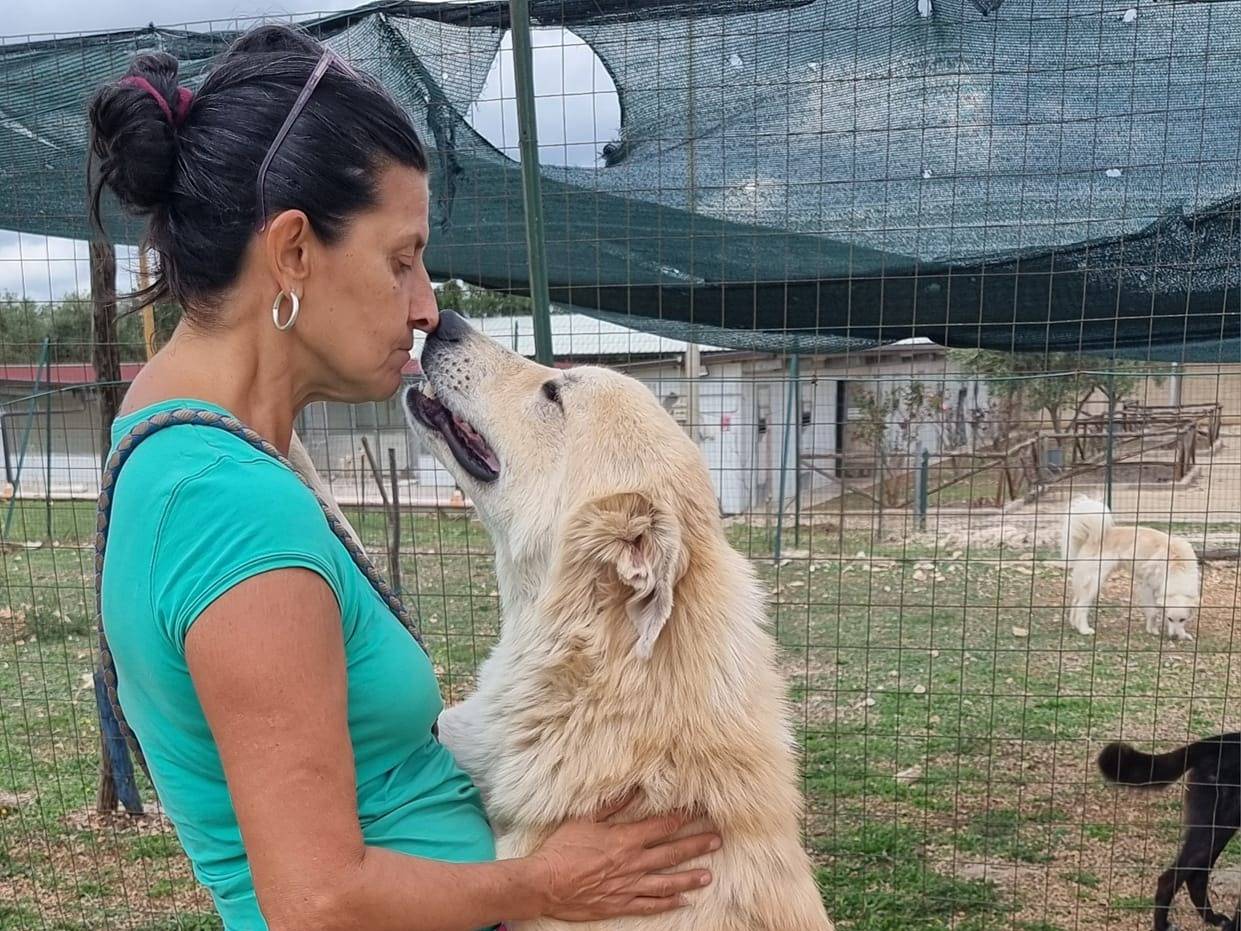 Foto dell'animale