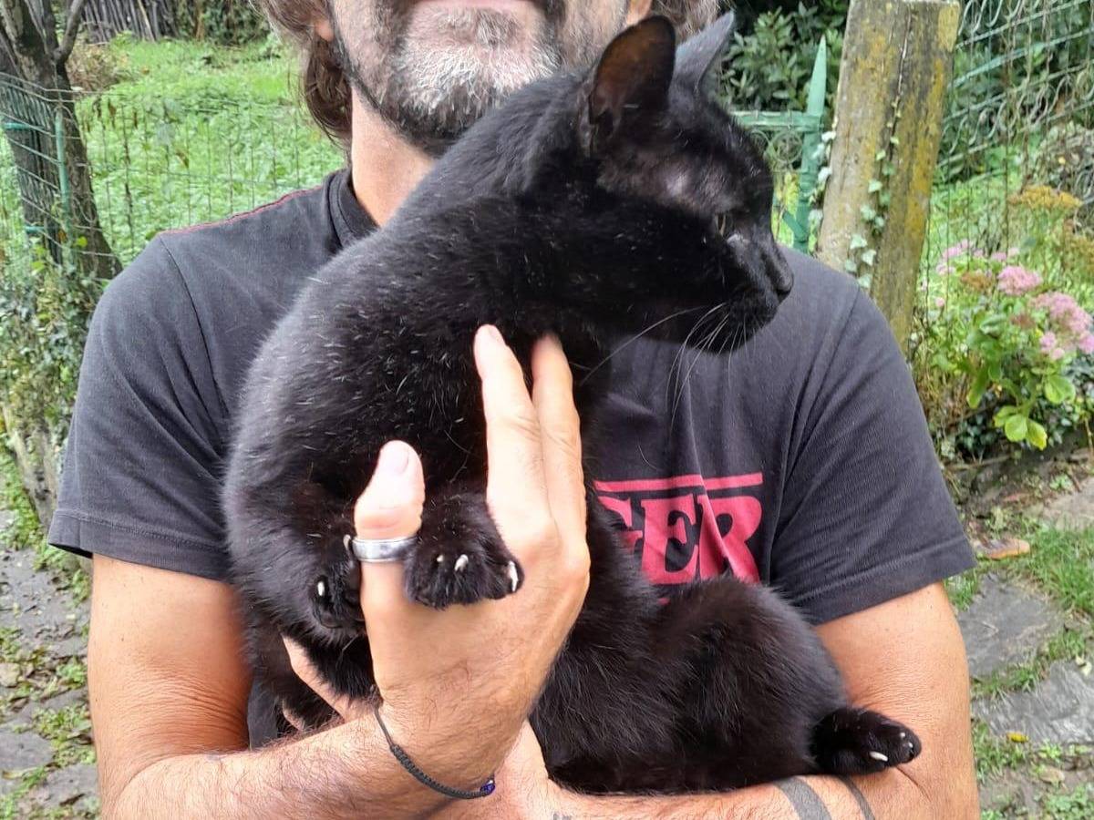 Foto dell'animale