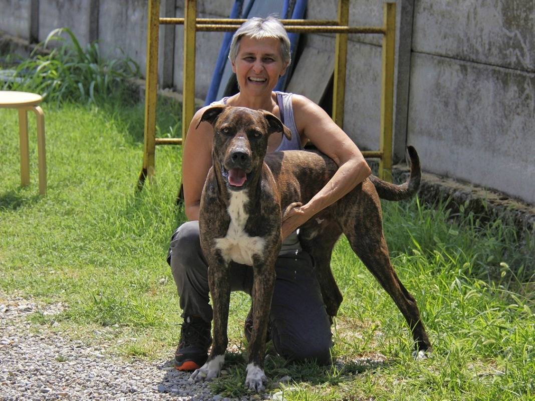 Foto dell'animale