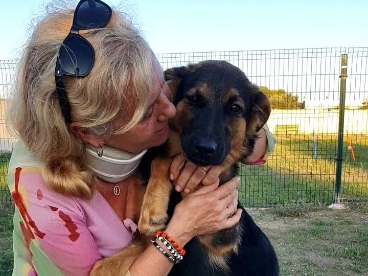 Vuoi adottare un cane a Taranto?