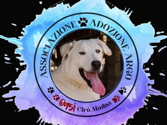 Foto dell'animale