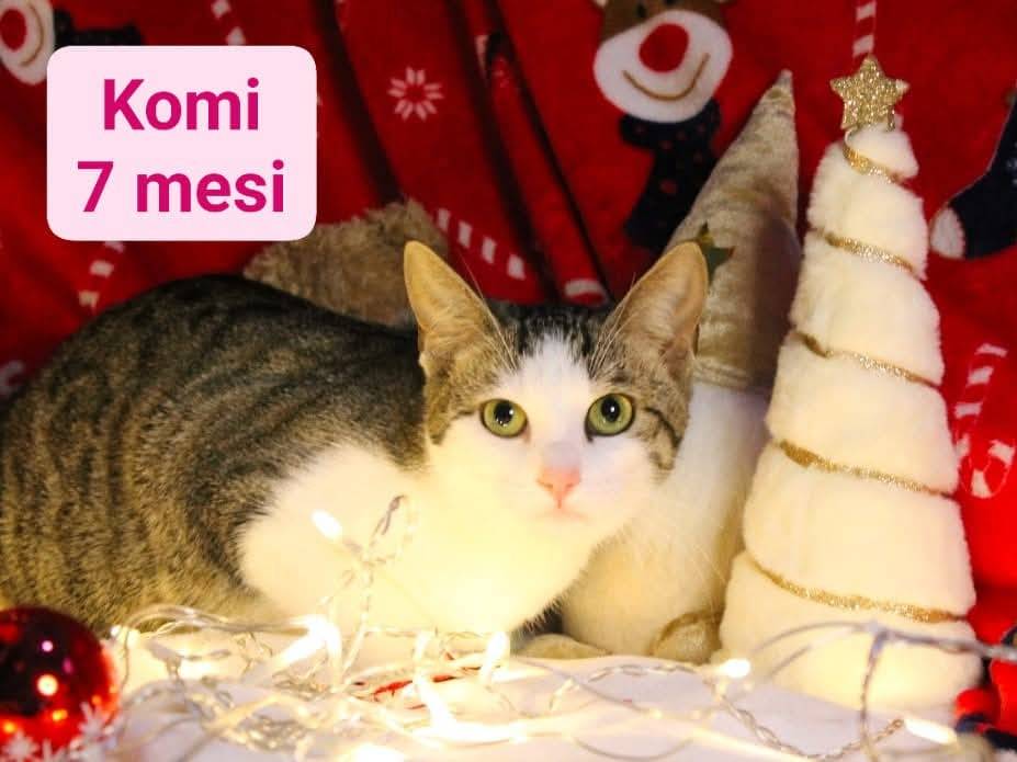 Foto dell'animale