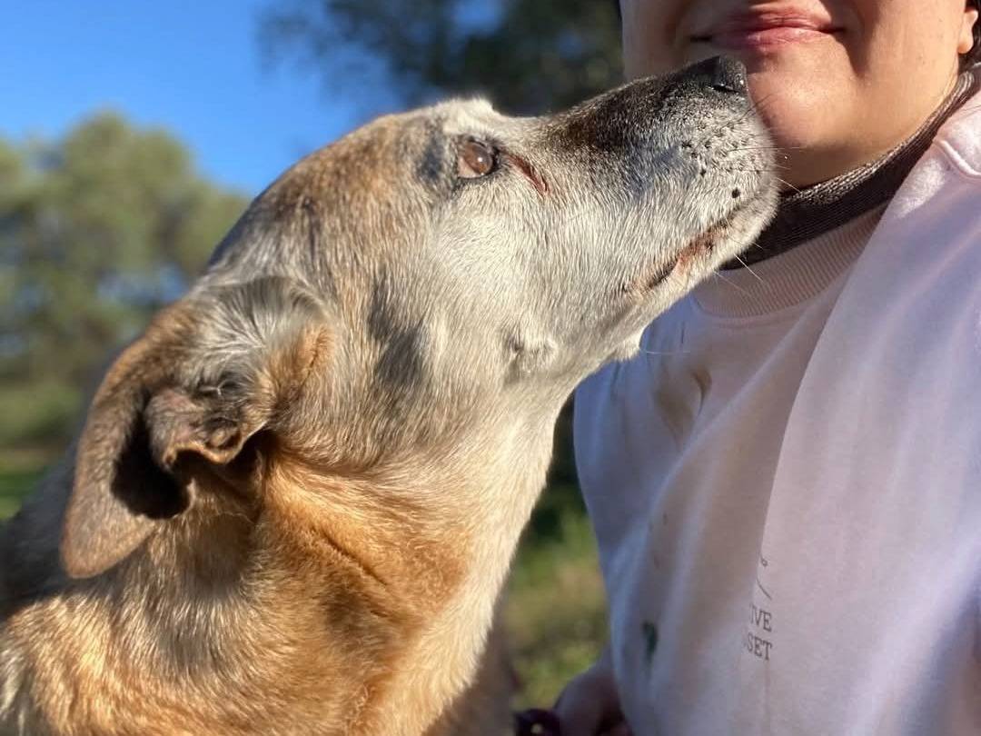Foto dell'animale