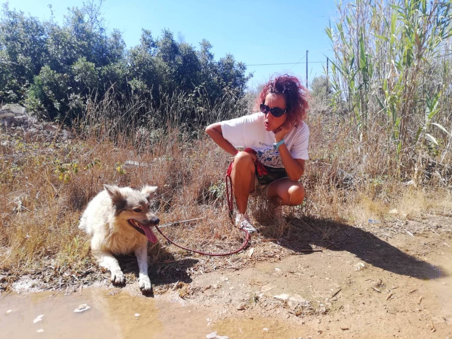 Adotta il cane GEMMA a Lecce