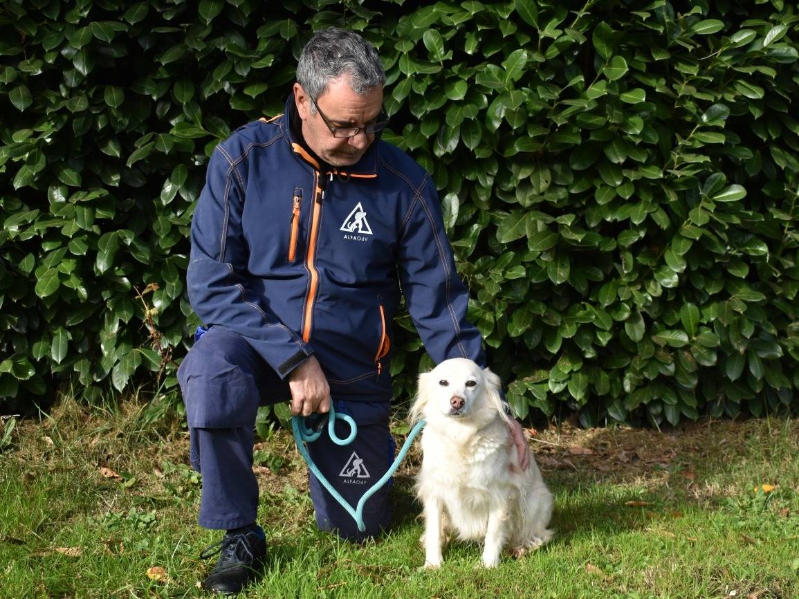Adotta il cane Gertrudina a Roma