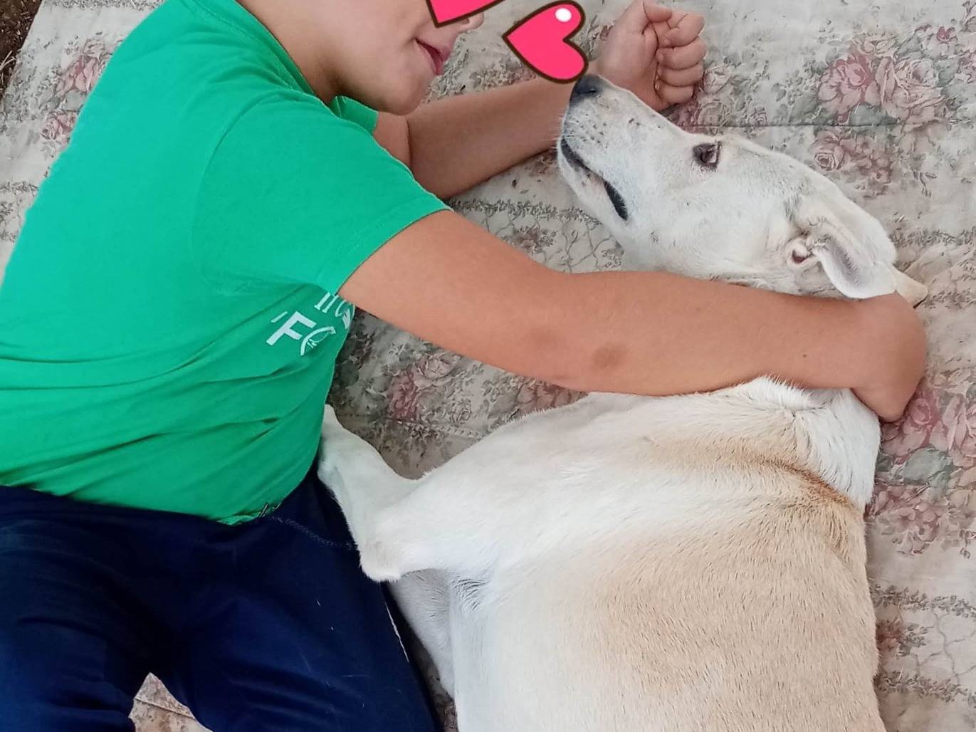 Vuoi adottare un cane a Bari?
