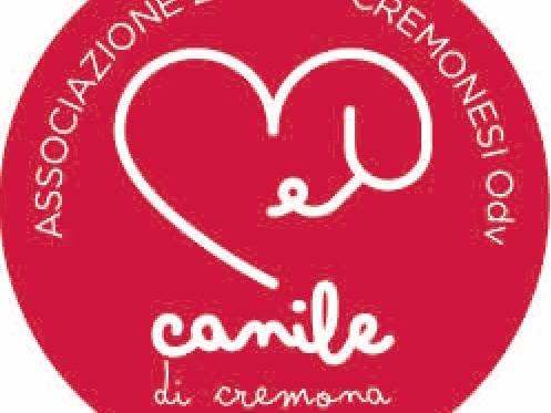 Adotta un cane, maschio, 7 anni  e 2 mesi , Cremona