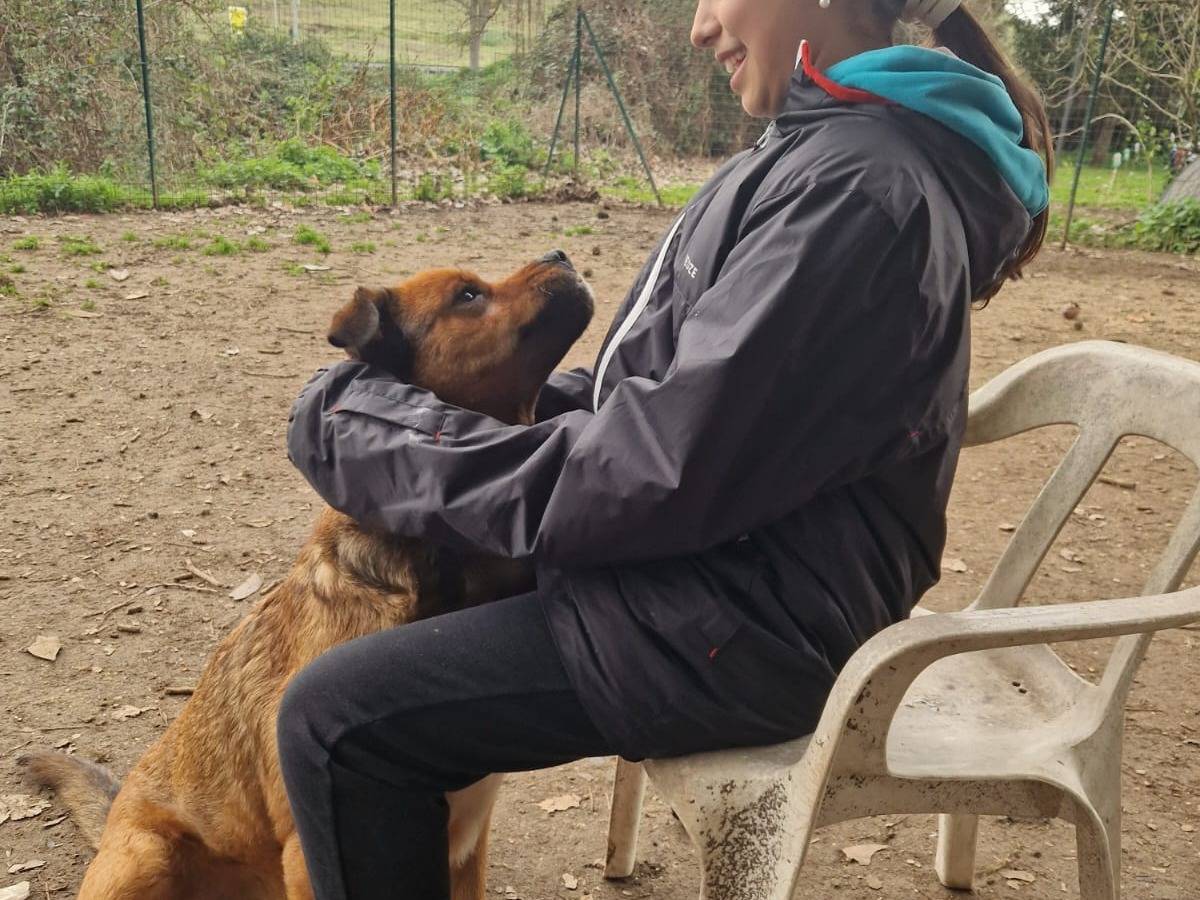 Adotta il cane Pluto a Roma