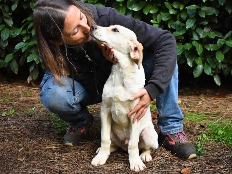 Adotta un cane, maschio, 8 mesi, Roma