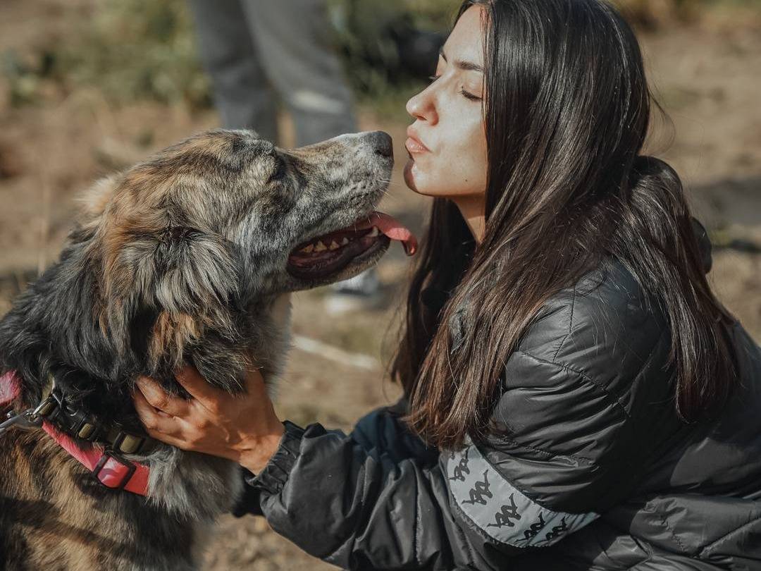 Vuoi adottare un cane a Caserta?