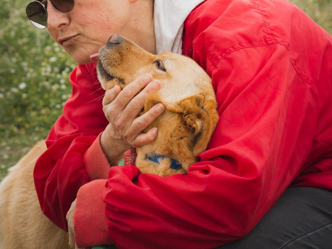 Foto dell'animale