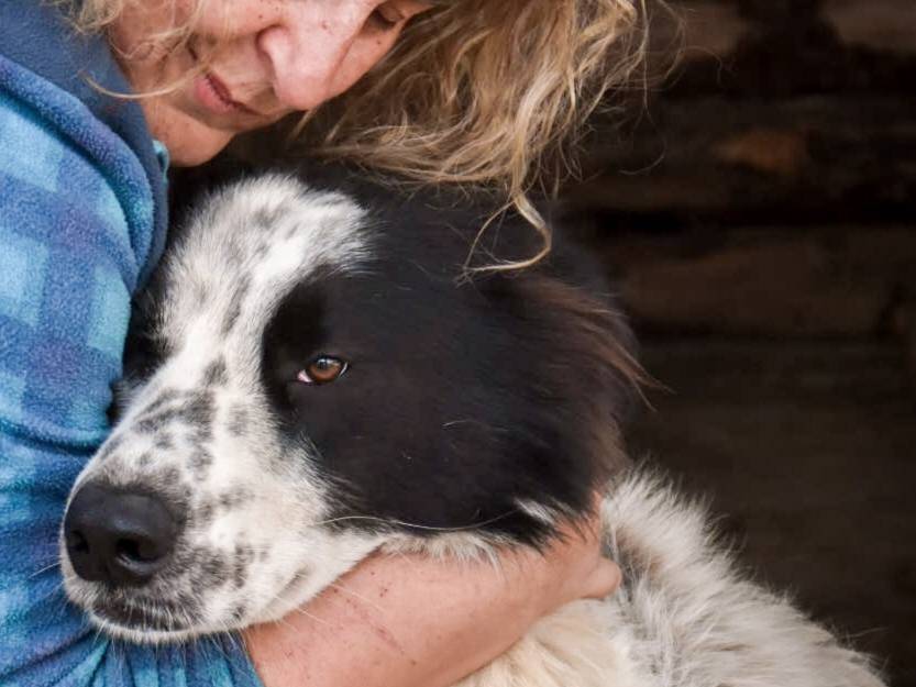 Vuoi adottare un cane a Crotone?