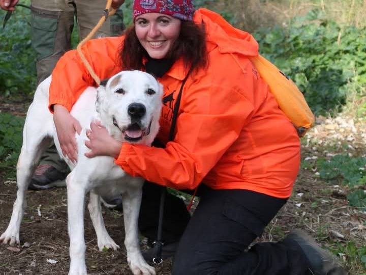 Adotta il cane Koda a Roma