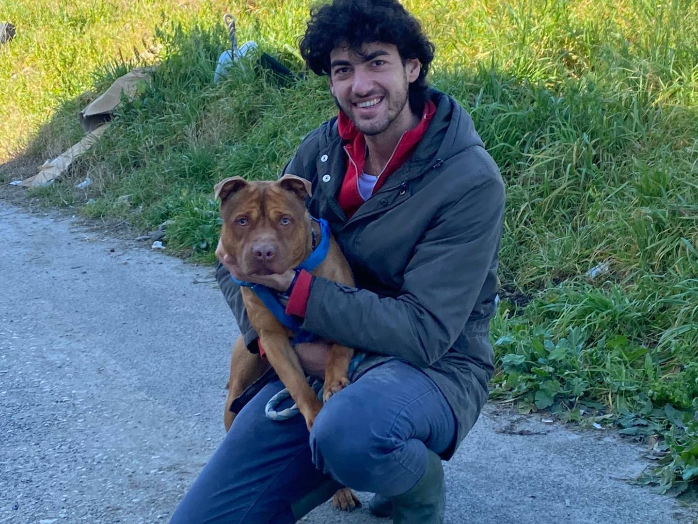 Adotta un cane, taglia media, maschio, Caserta