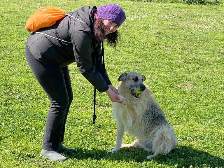 Adotta un cane, taglia media, maschio, Roma