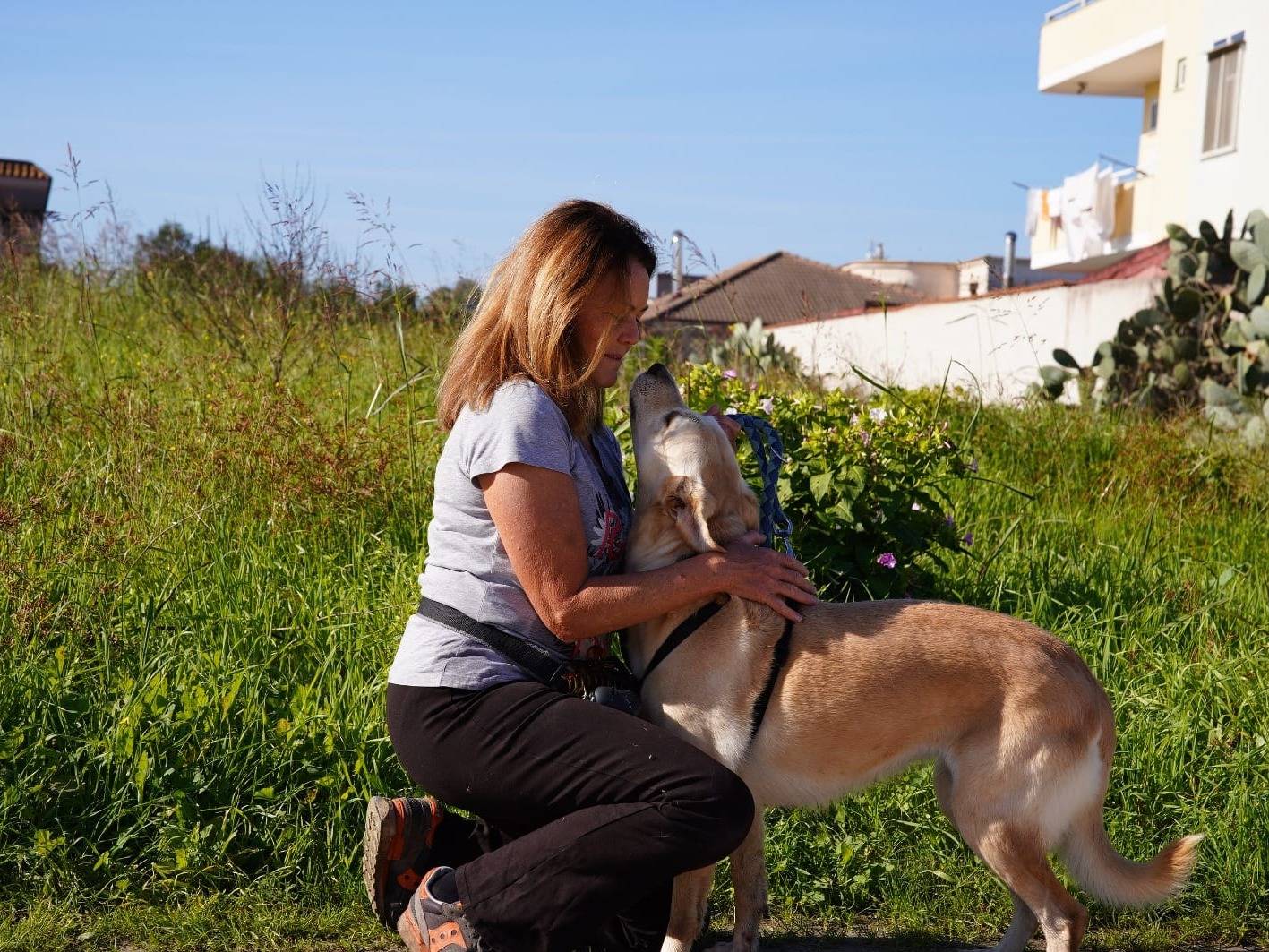 Adotta un cane, taglia media, femmina, Caserta