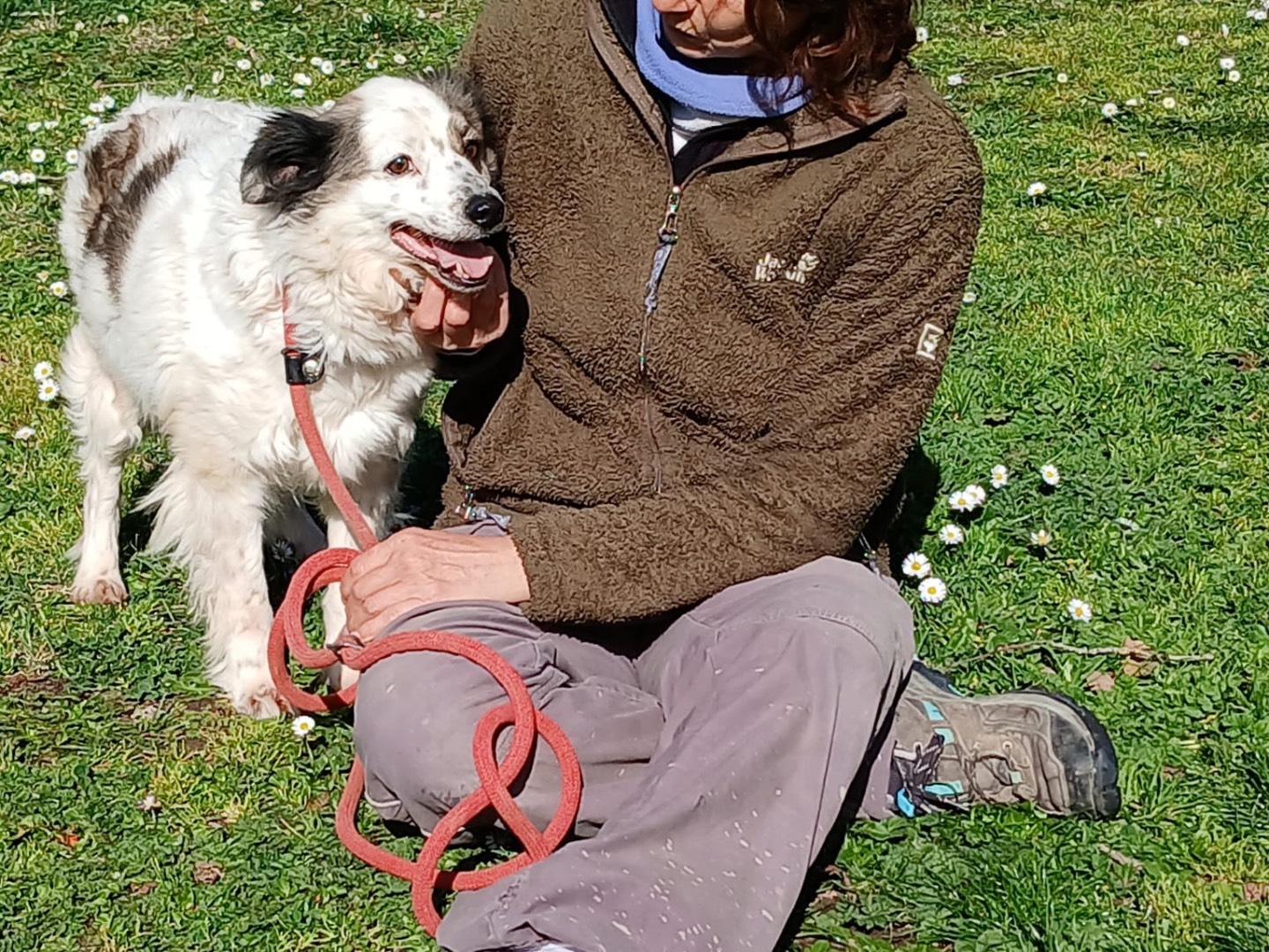 Vuoi adottare un cane a Roma?